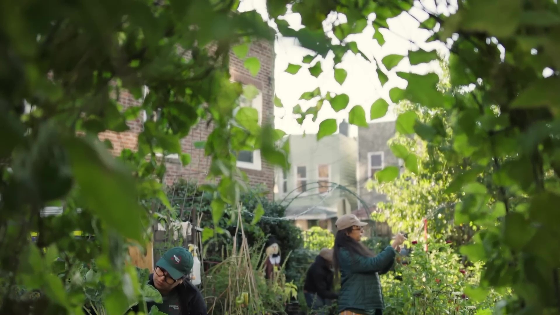 Members of the community tending to local garden