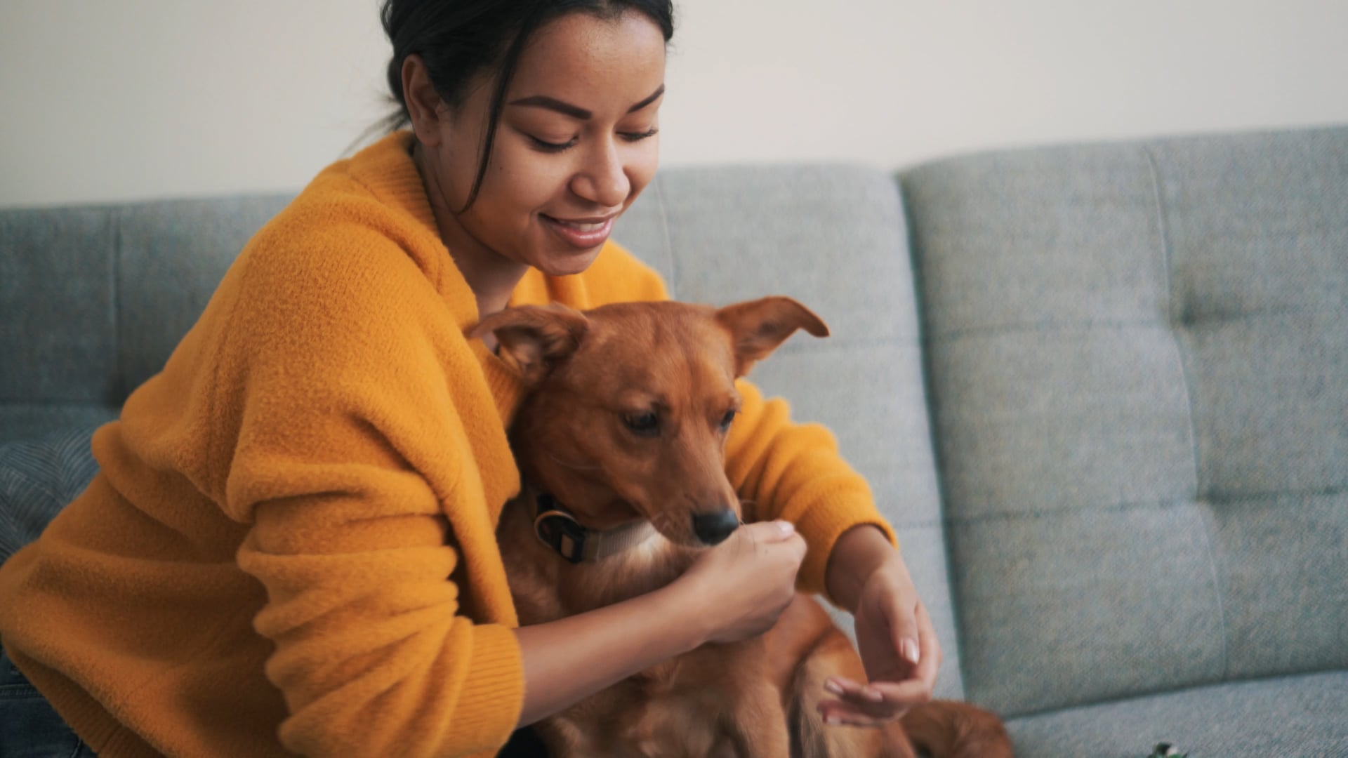 A smiling woman on the couch embracing a dog