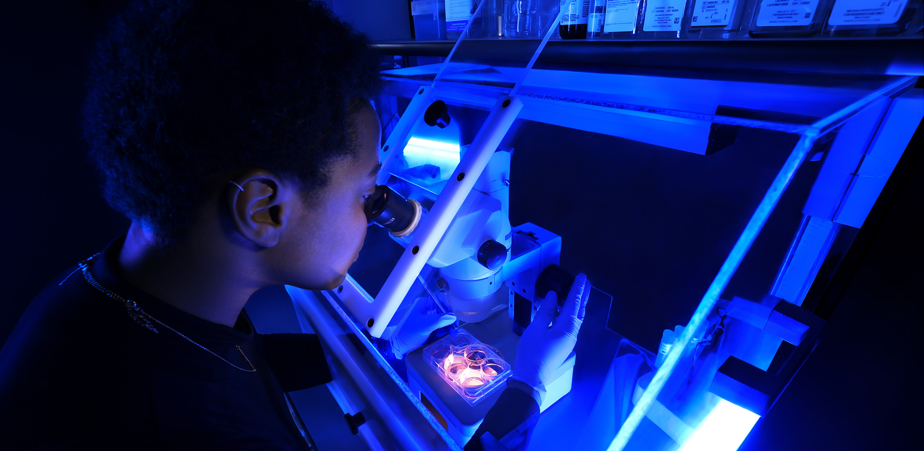 Scientist examining samples under a microscope in a lab illuminated by blue light