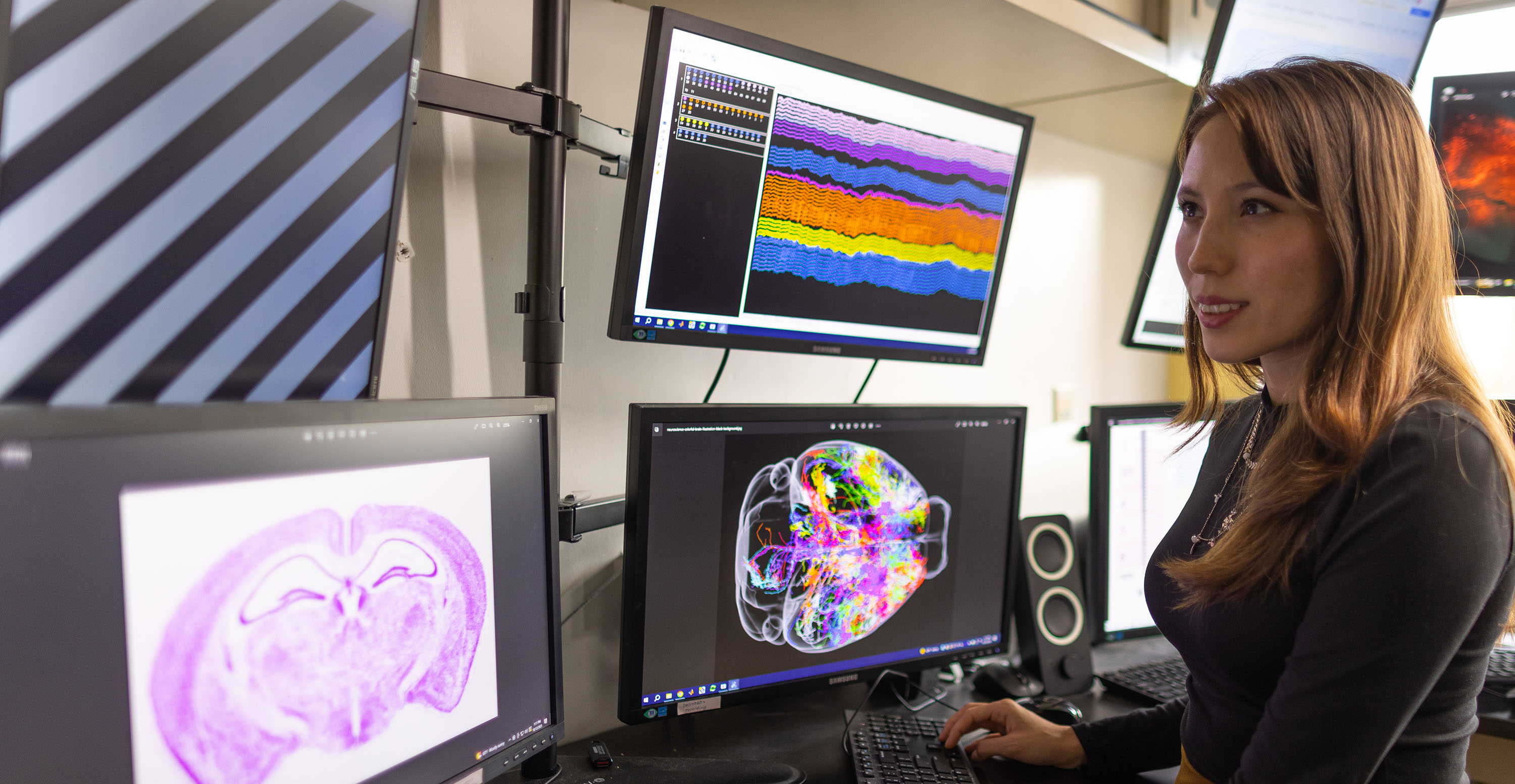 Scientist analyzing colorful brain scans across multiple monitors in a research lab.