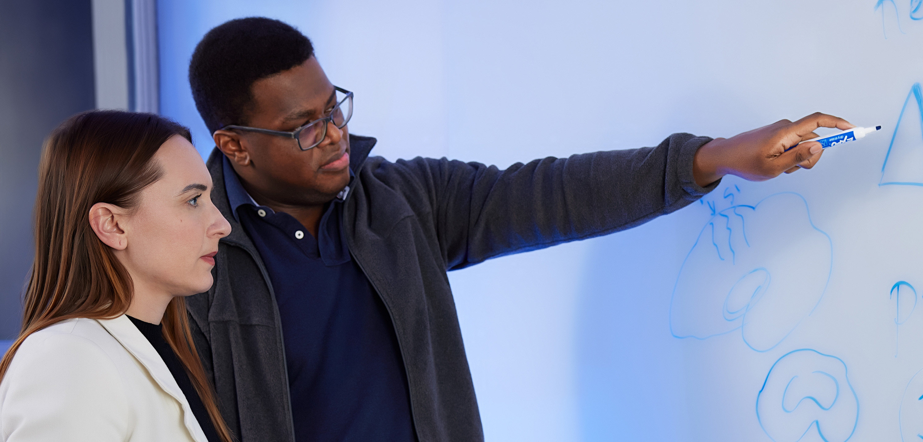A man points to anatomical brain sketches on a whiteboard while explaining to a colleague.