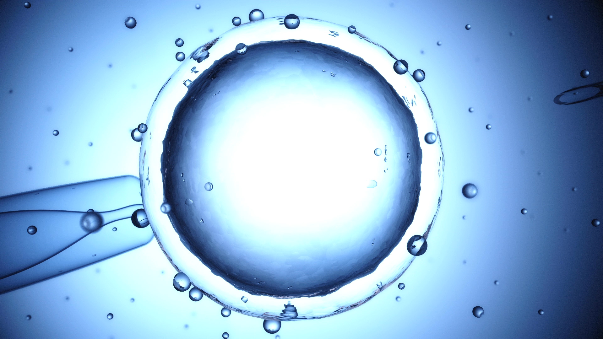 Microscopic view of a human egg cell surrounded by fluid and particles, representing the process of in vitro fertilization.