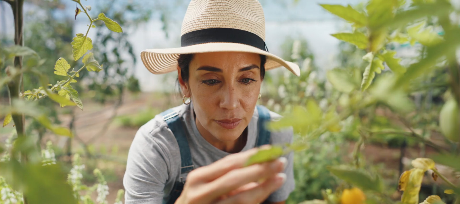 A woman in a sun hat inspects a plant