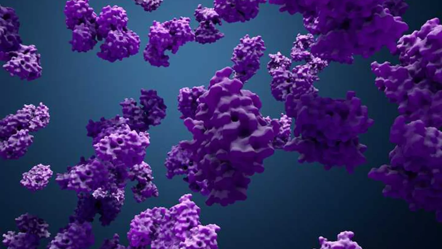 3D visualization of enzymes