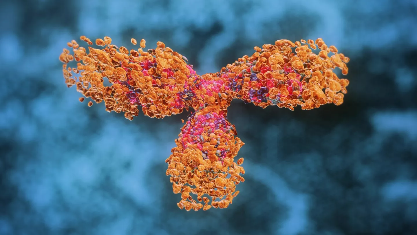 Montefiore Einstein Comprehensive Cancer Center Establishes New Immunotherapy Institute