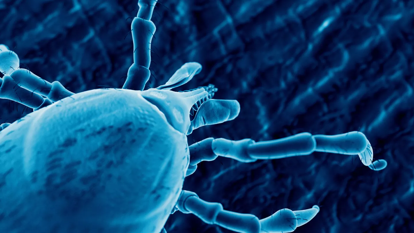 Combating a Deadly Tickborne Virus