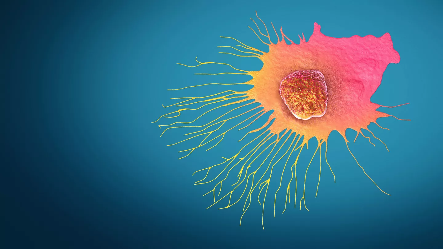 Blocking Metastasis to Treat Breast Cancer