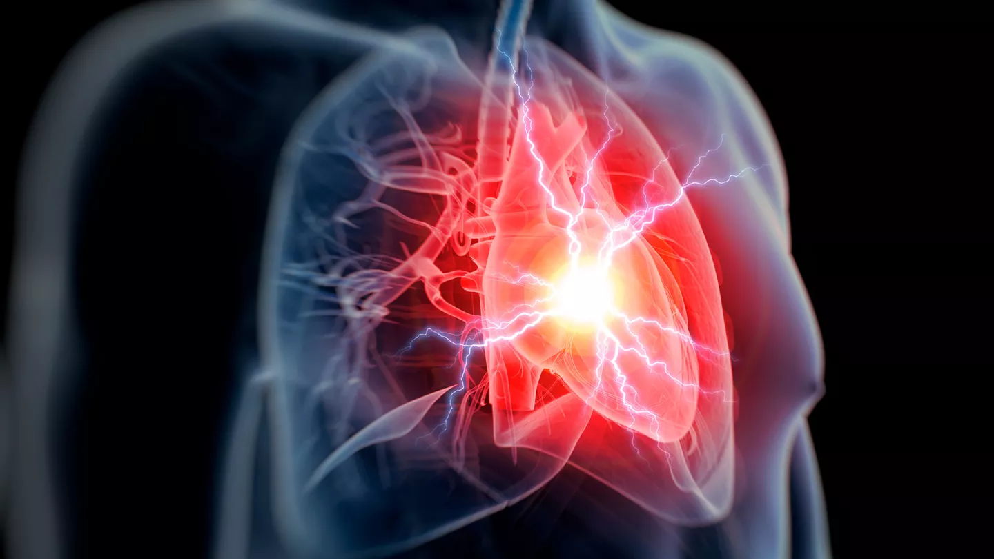 Priming Macrophages to Repair Heart Attacks