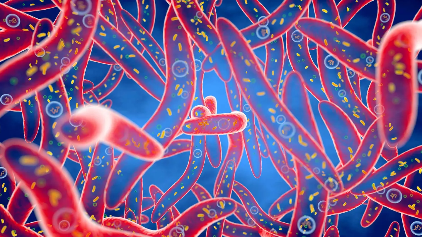 A Type of Common Mouth Bacteria Implicated in Colorectal Cancer