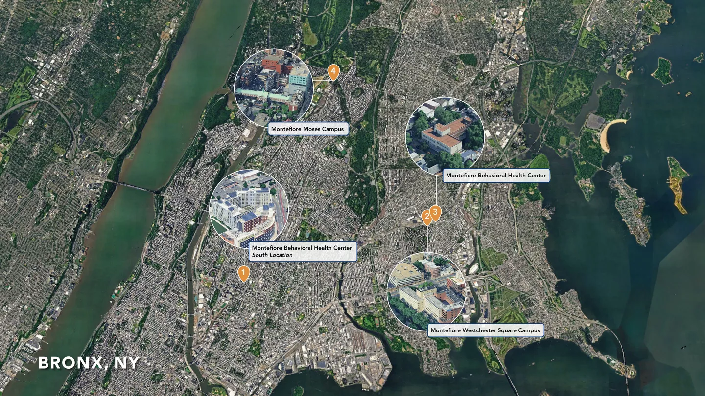 Behavioral Health Center of Excellence Map-Banner