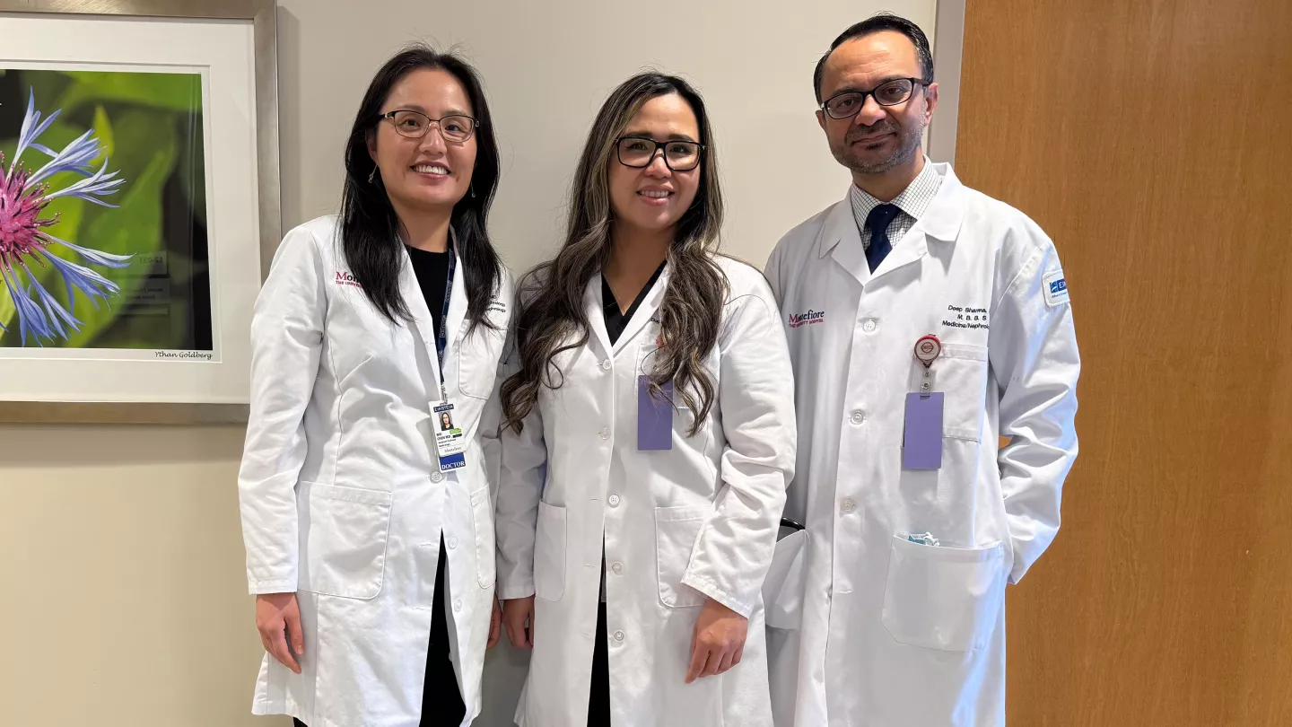 Montefiore Einstein Kidney Stone Clinic