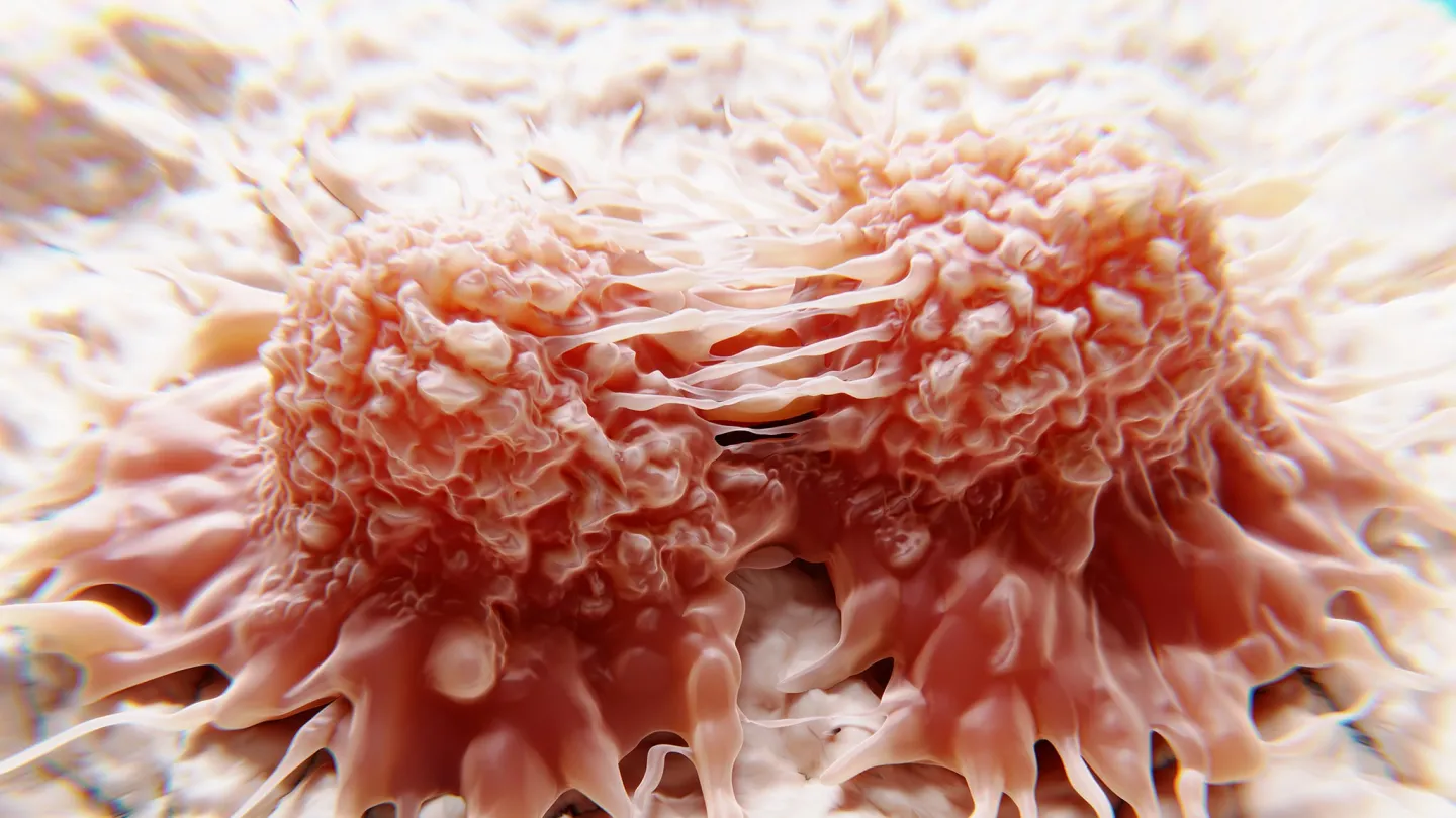 Dividing cancer cells, illustration