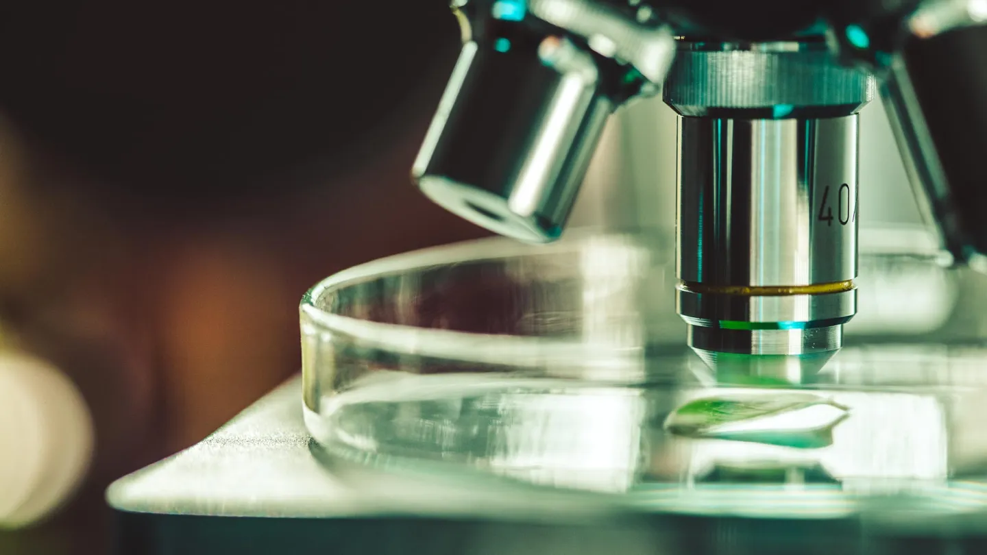 Microscope in the laboratory