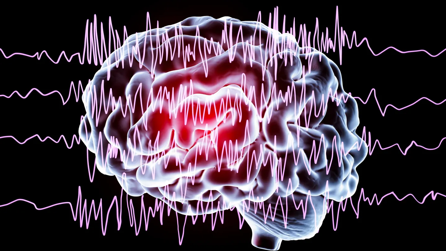 Brain and brain waves in epilepsy