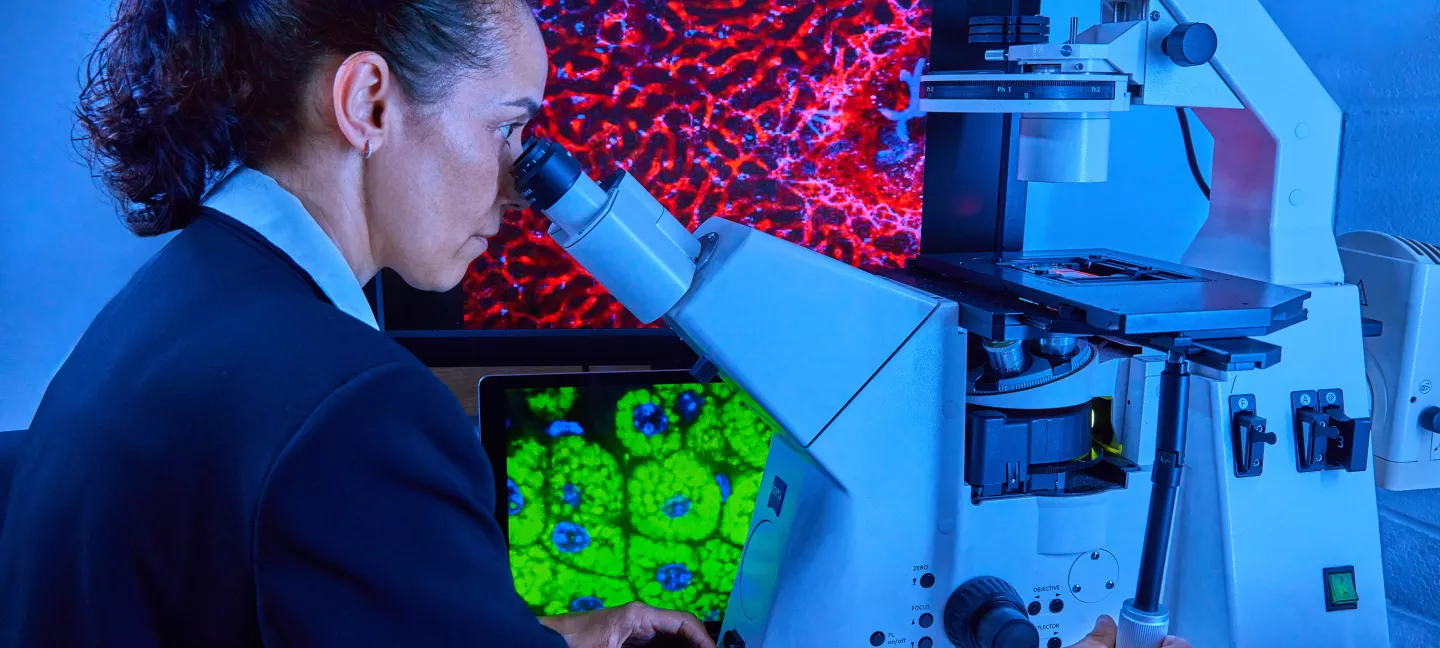 A researcher lookiing into a microscope in a lab