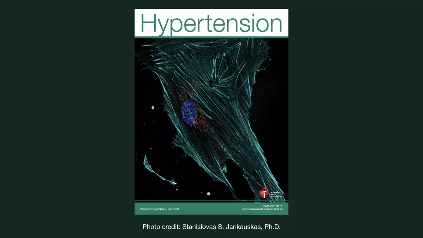 Combatting Frailty in the Elderly by Lowering Insulin Resistance