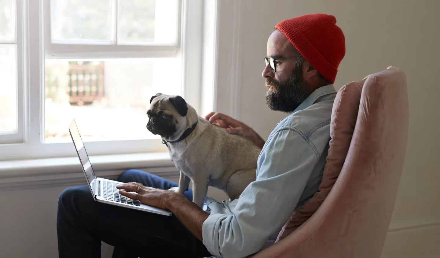 Man sitting on a chair with a pug dog on lap working on a laptop computer.