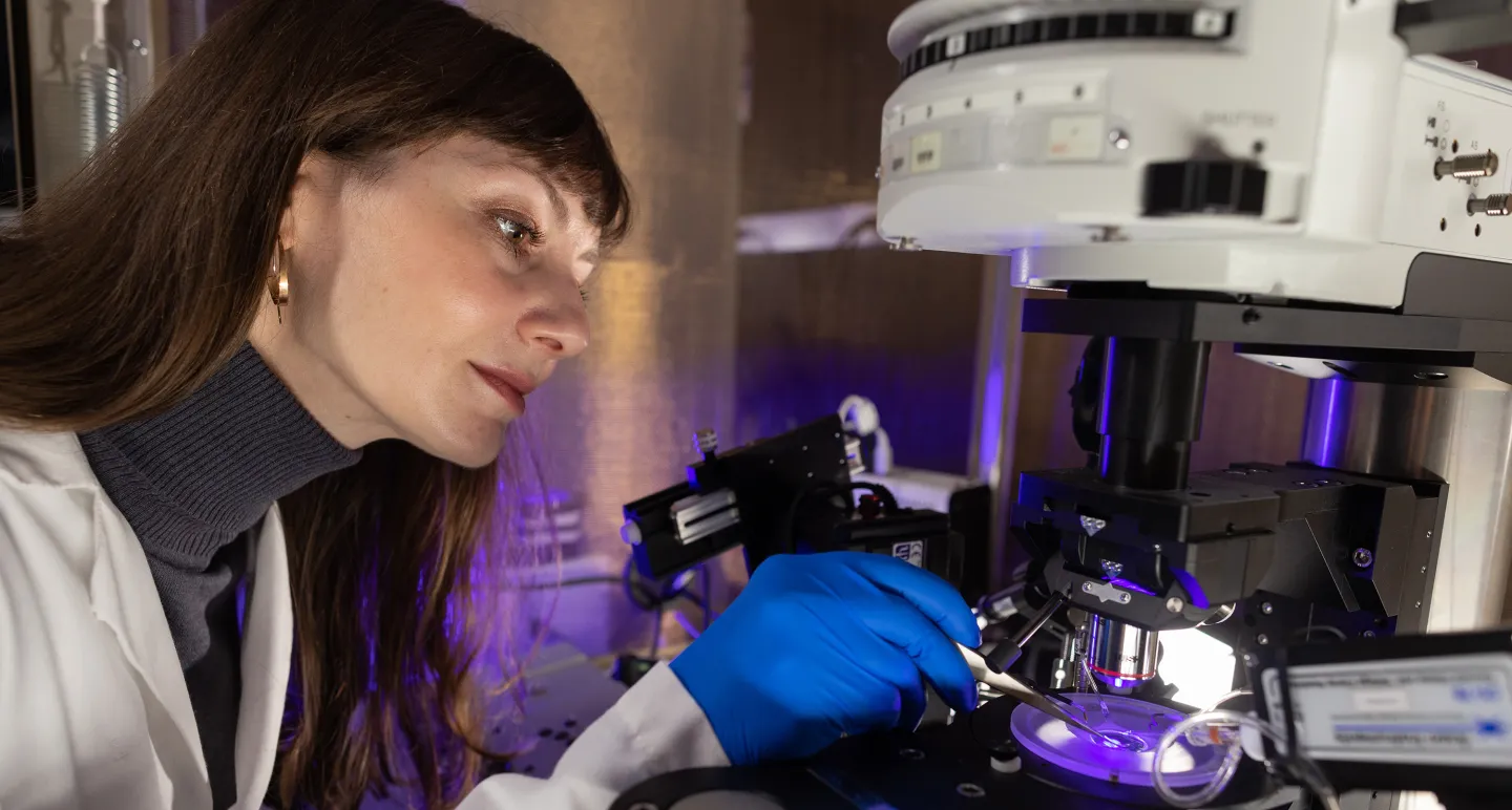 A female scientist in a lab coat and blue gloves using precision tweezers to work with samples under a high-powered microscope in a laboratory setting.