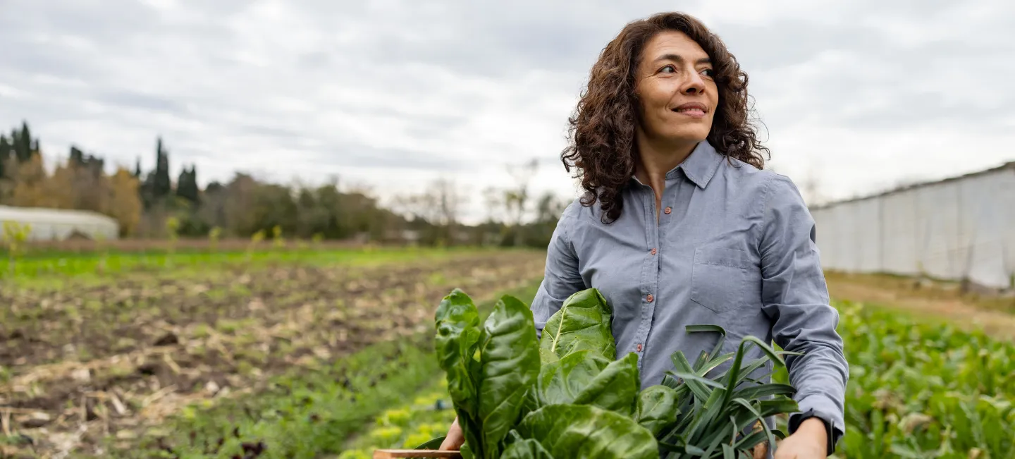 Female farmer standing in a vegetable field holding a crate of fresh leafy greens, looking into the distance.