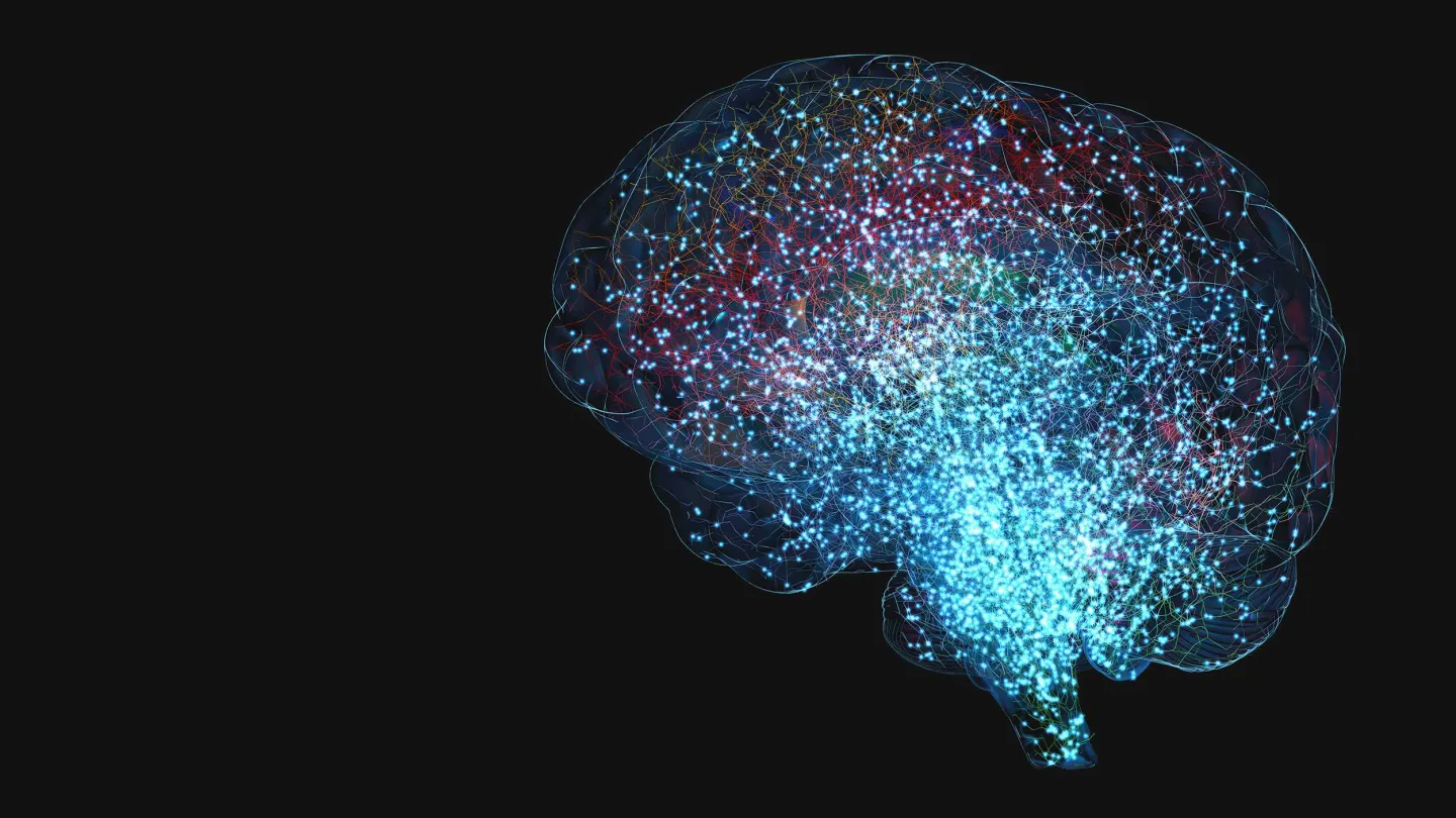 Digital illustration of a human brain
