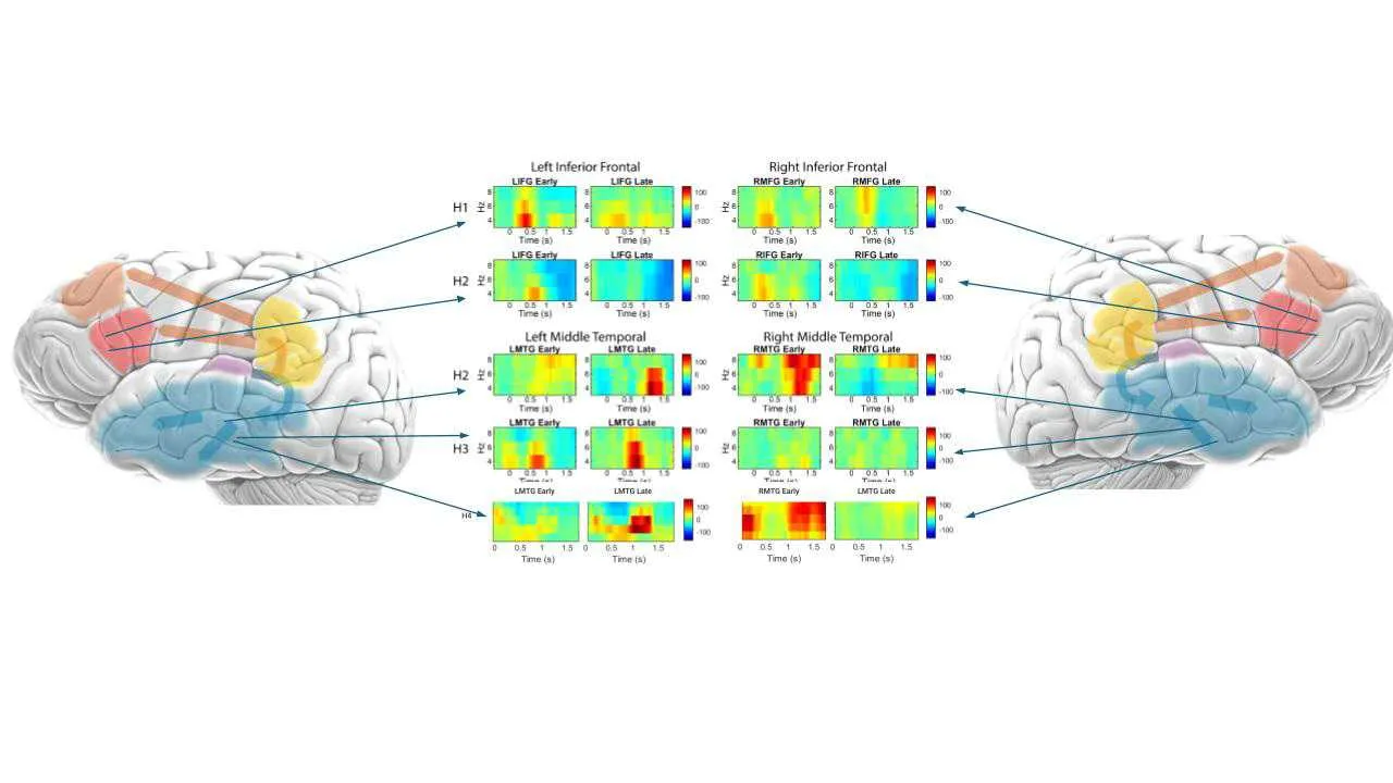 striatal deep brain stimulation