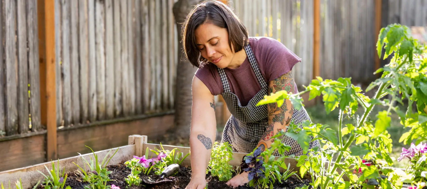 A woman with short dark hair and colorful tattoos on her arms wears a patterned apron and a mauve t-shirt while tending to a raised wooden garden bed outdoors. She leans over the soil with a trowel, planting purple flowers and green herbs under soft sunlight in front of a wooden fence.