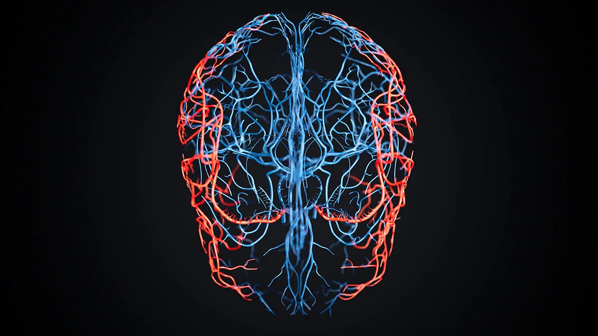 A stylized frontal view of the human brain depicted as an intricate network of glowing blue and red blood vessels against a black background.