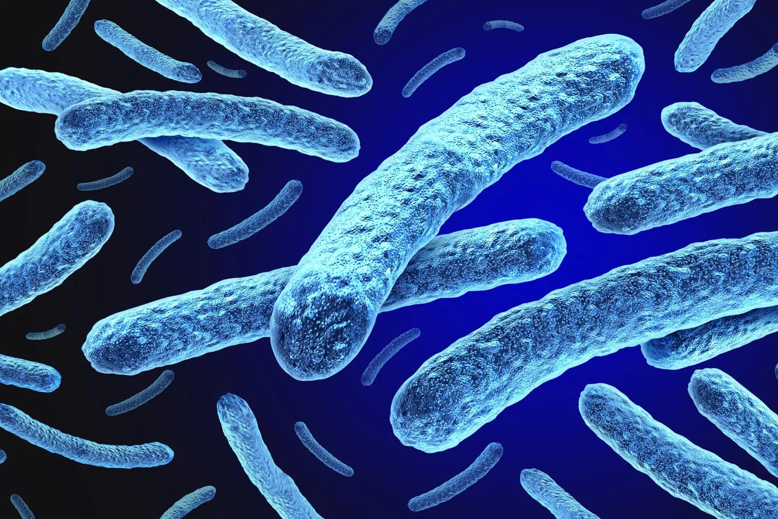 Leprosy and Mycobacterium leprae Bacteria
