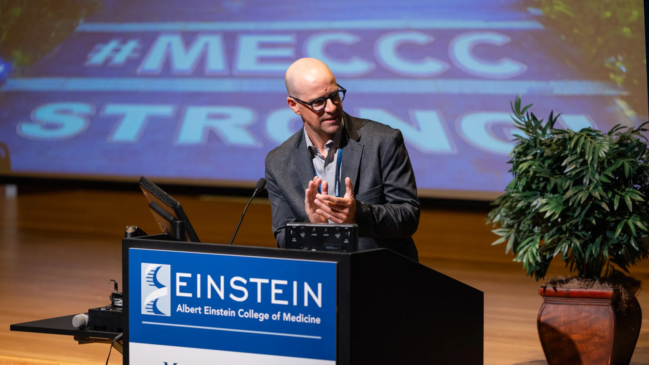 Steidl MECCC