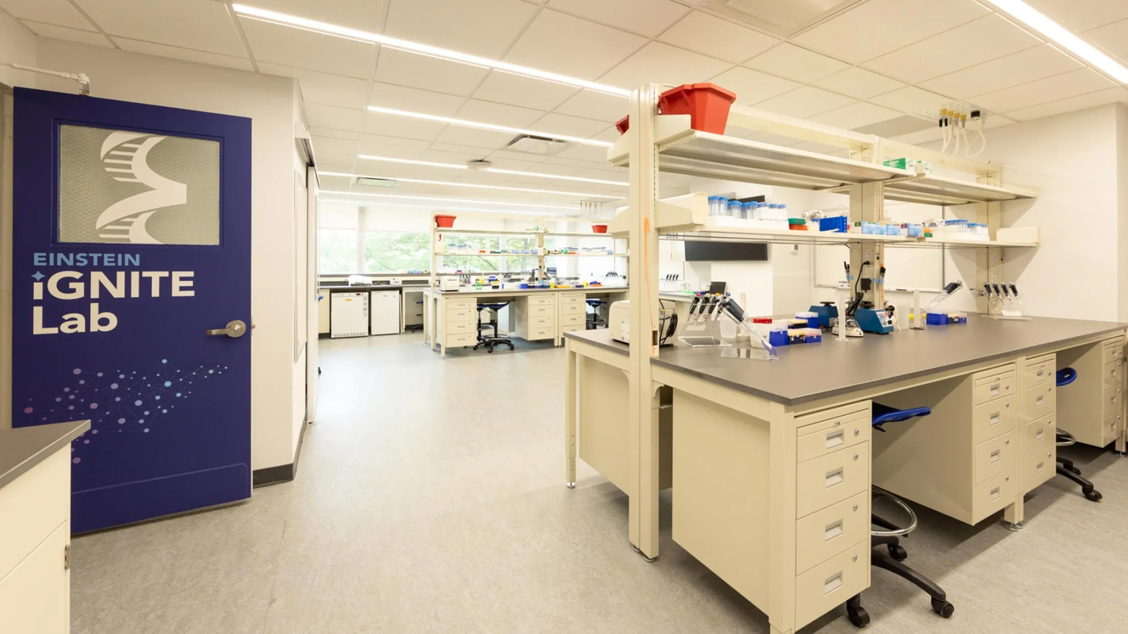 The IGNITE Lab