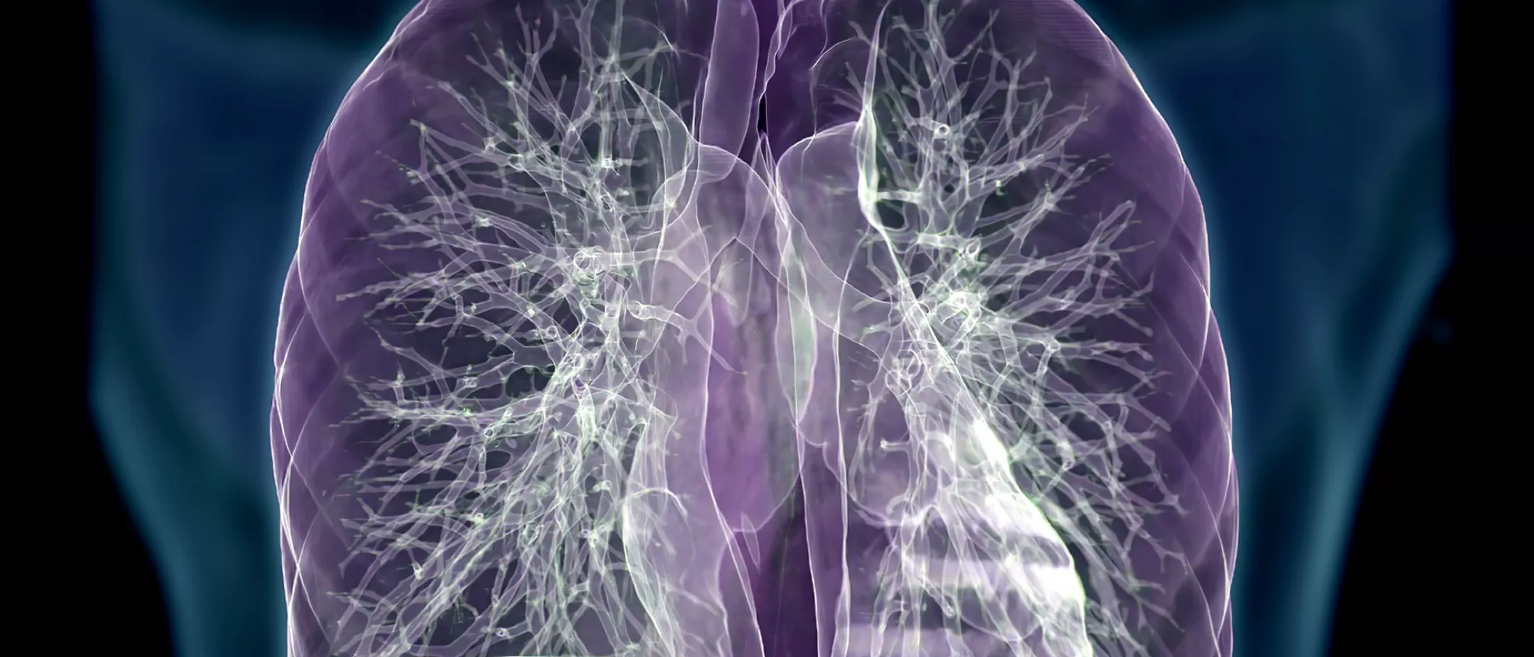 3D rendering image of chest or lung CT on blurred human body.