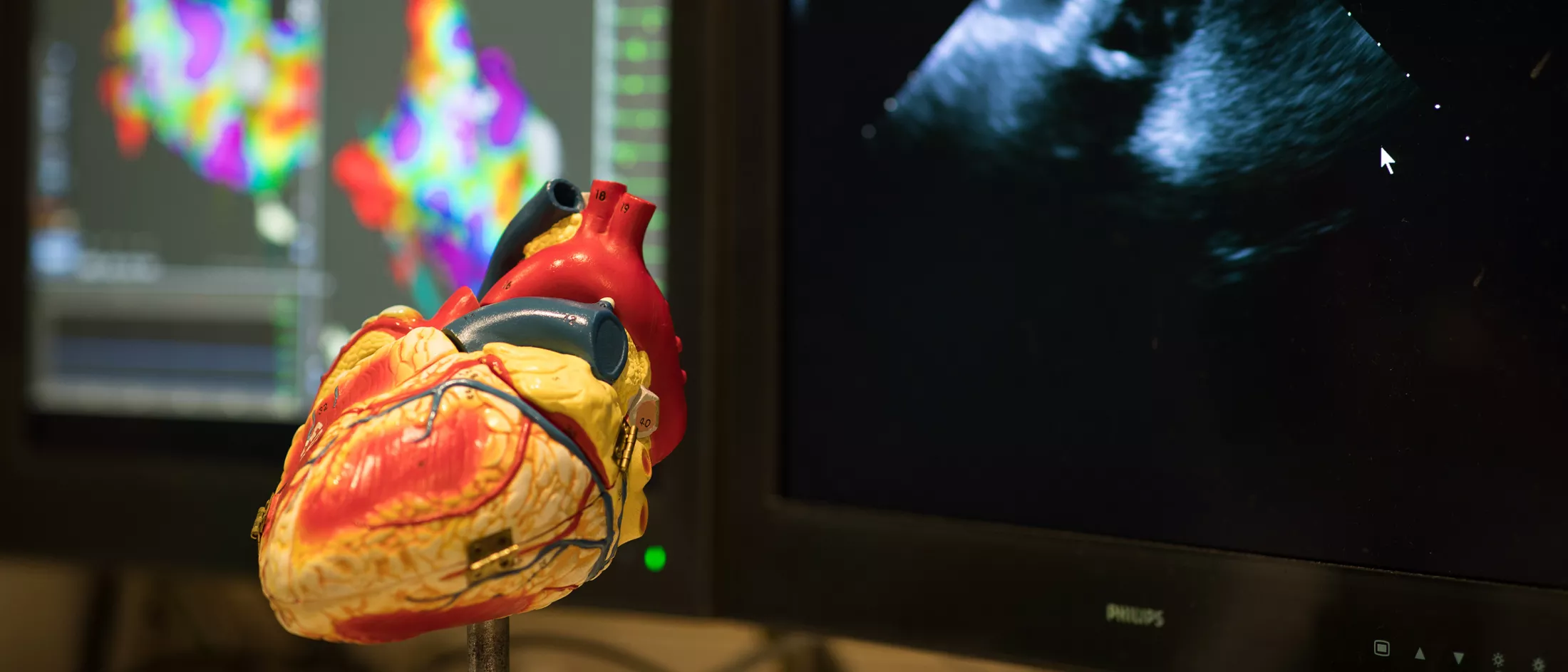 A model of the heart in front of a computer screen