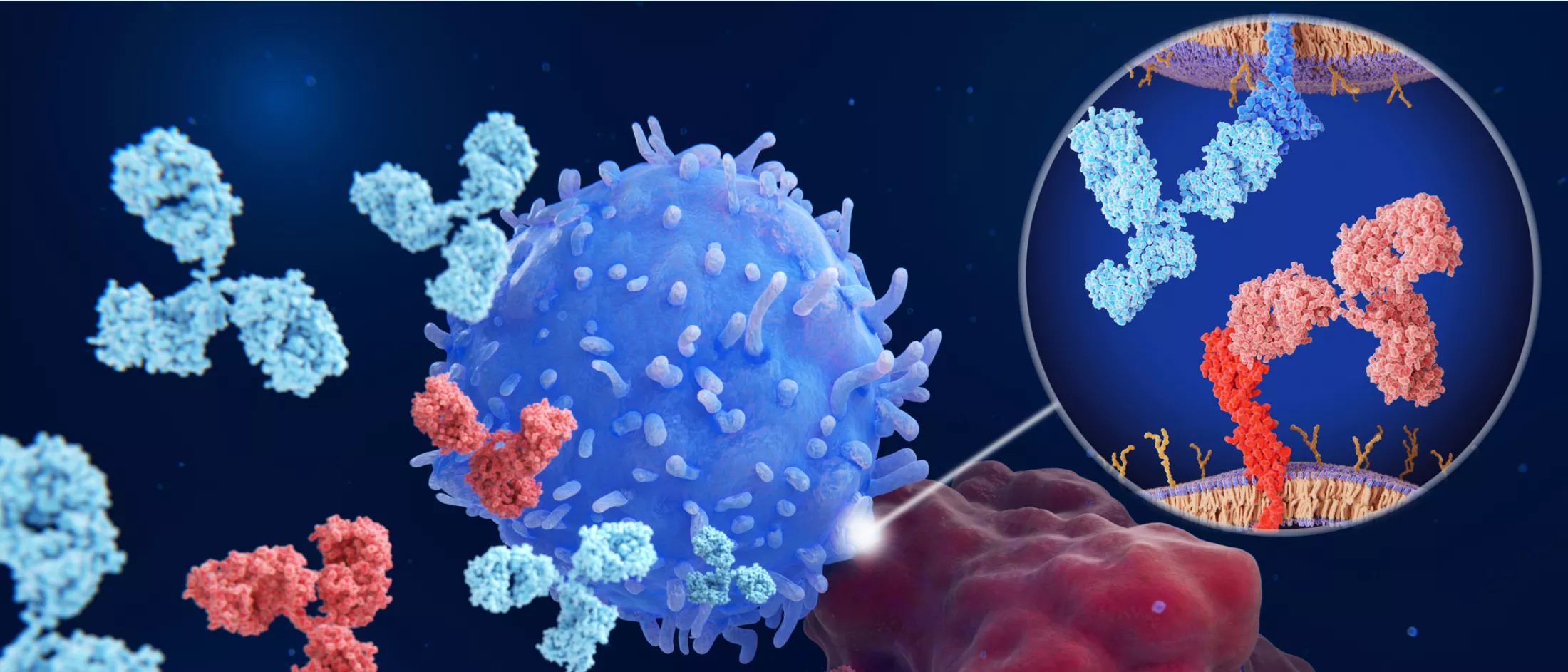 Immune Checkpoint Inhibitors