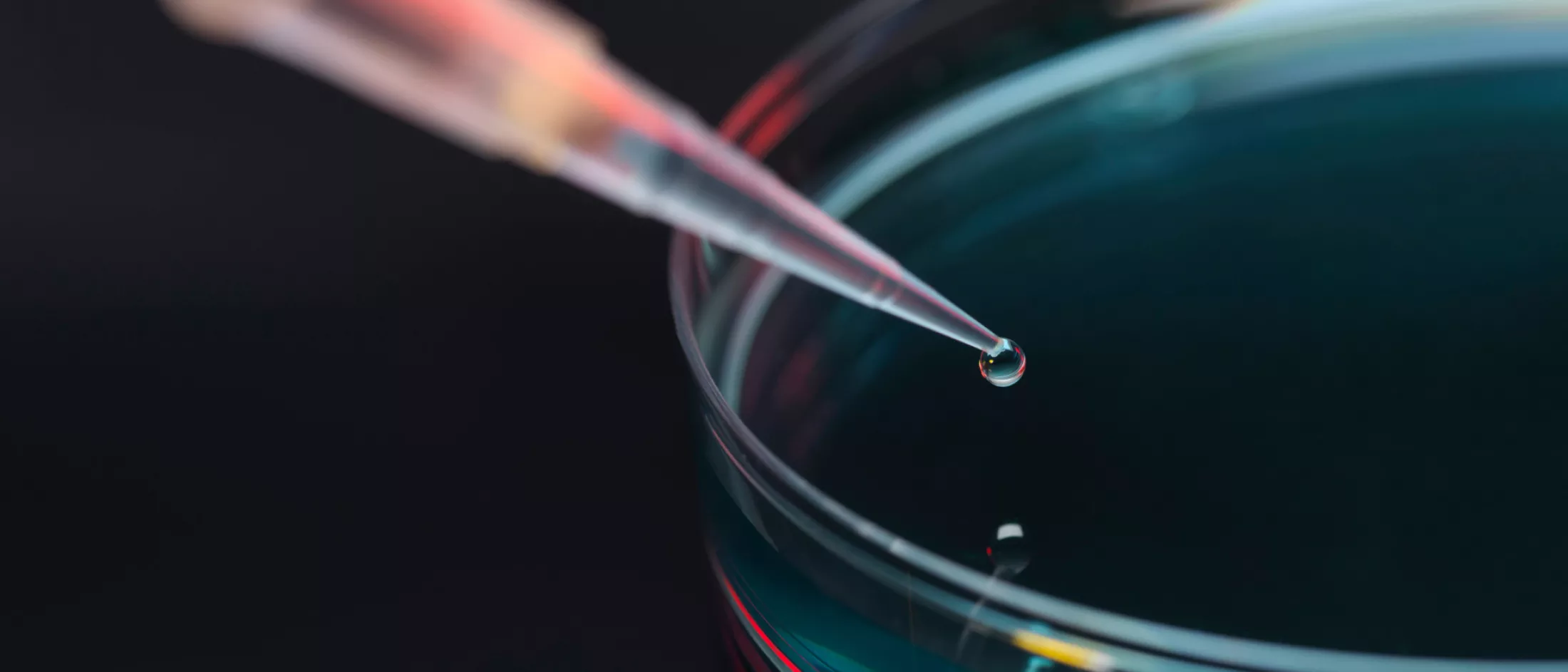A pipette deposits a drop of liquid into a petri dish against a dark background.