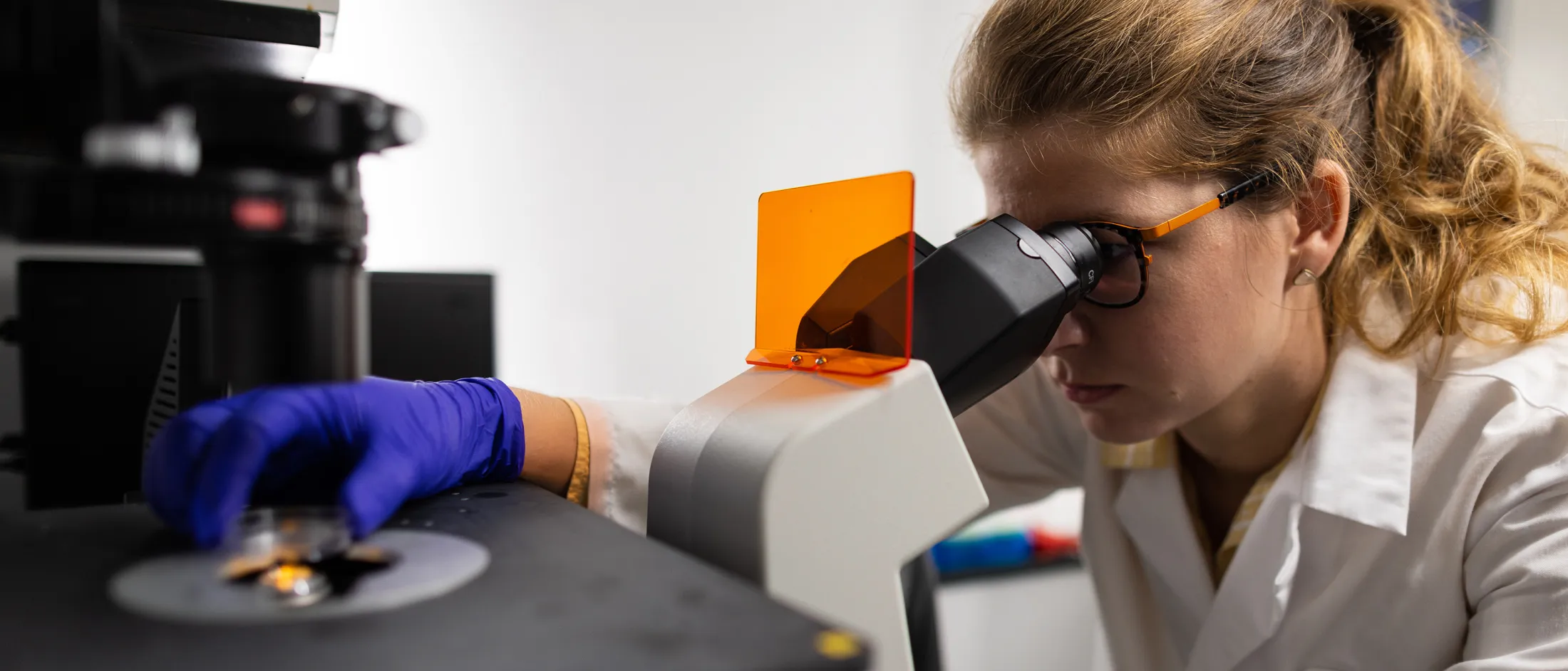 Scientist wearing lab coat and gloves examines a sample through a microscope in a research lab.