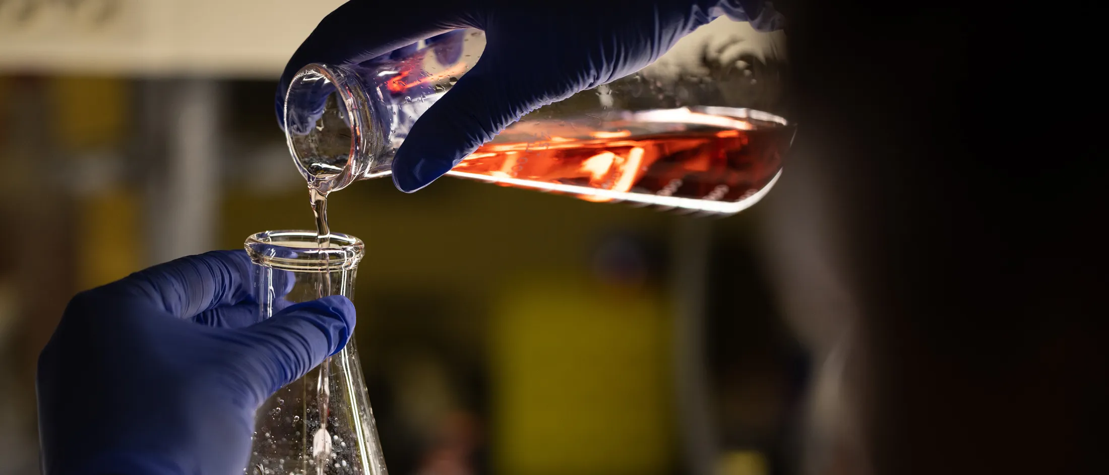 Researcher pouring red liquid between lab beakers while wearing blue gloves.