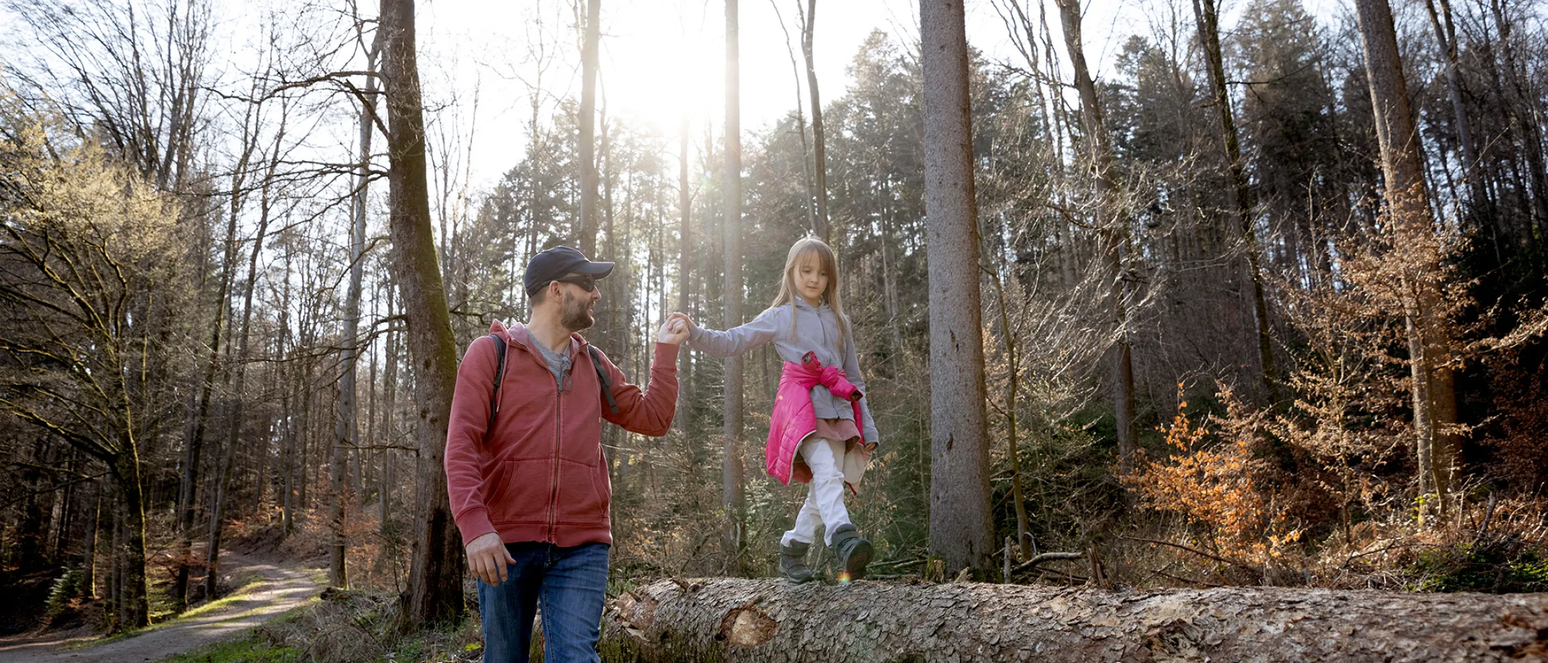 Father holding daughter's hand as she walks along a fallen tree in a forest.