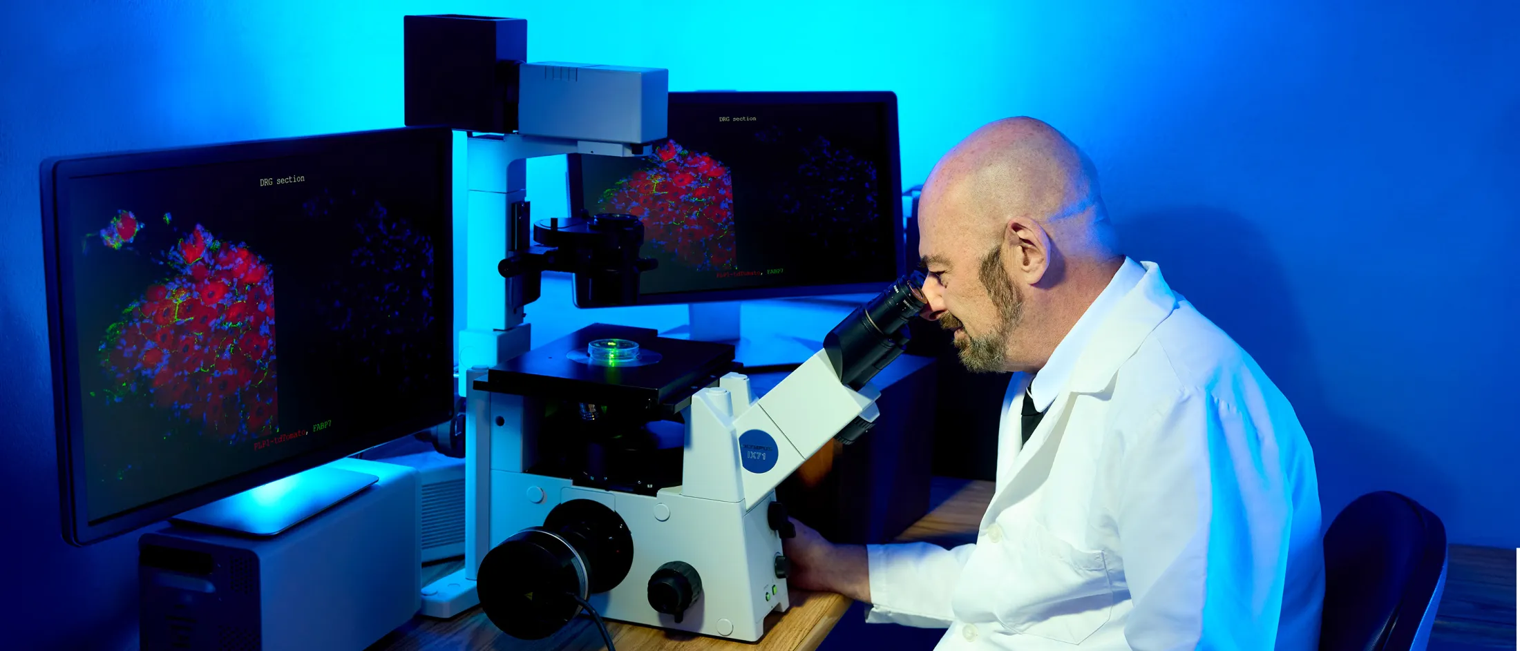 Male scientist in a lab coat examining a specimen through a microscope with fluorescent imaging on dual monitors.