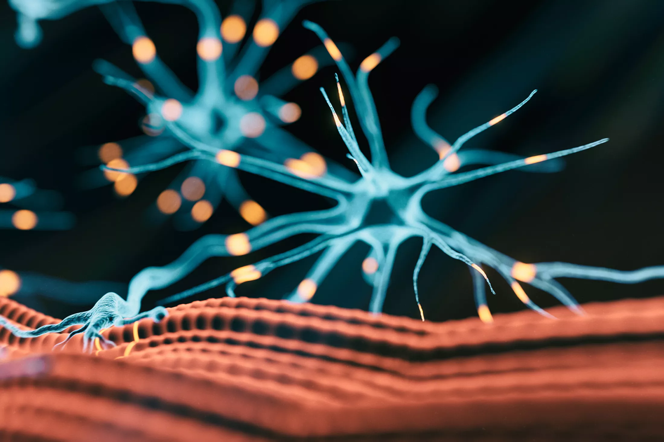 A graphic showing neurons