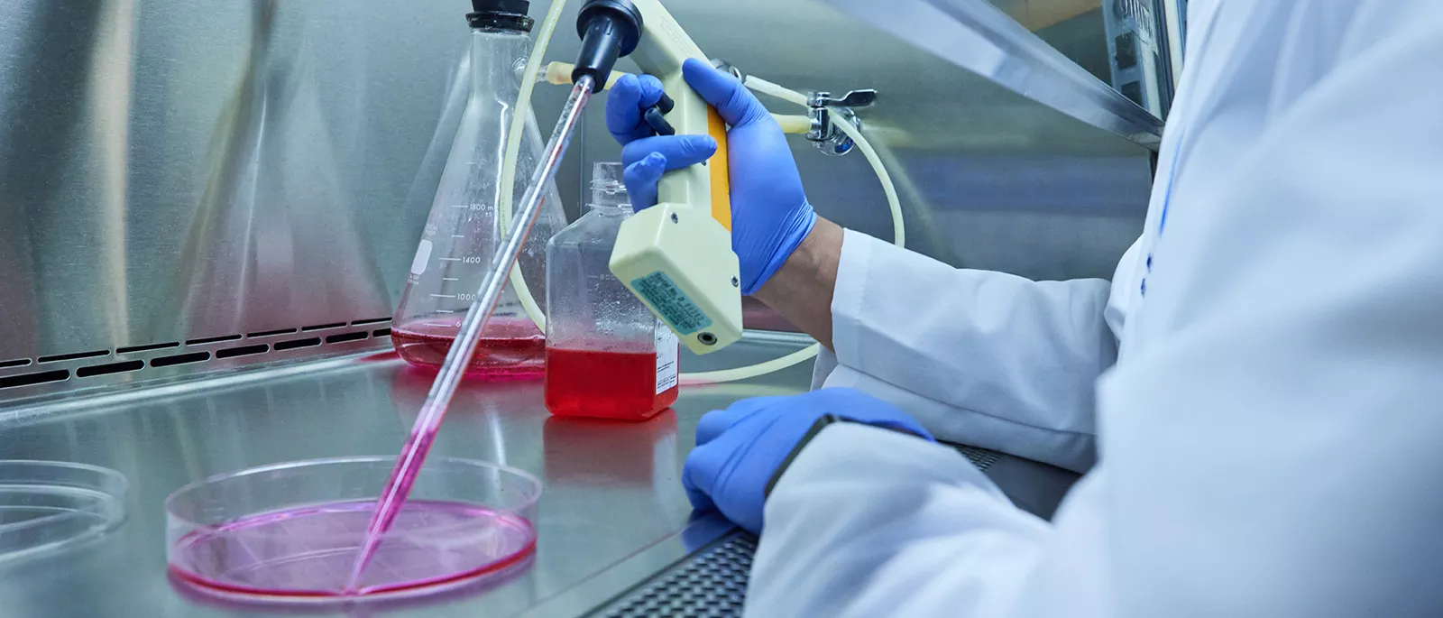 Medical Technician taking sample from petri dish