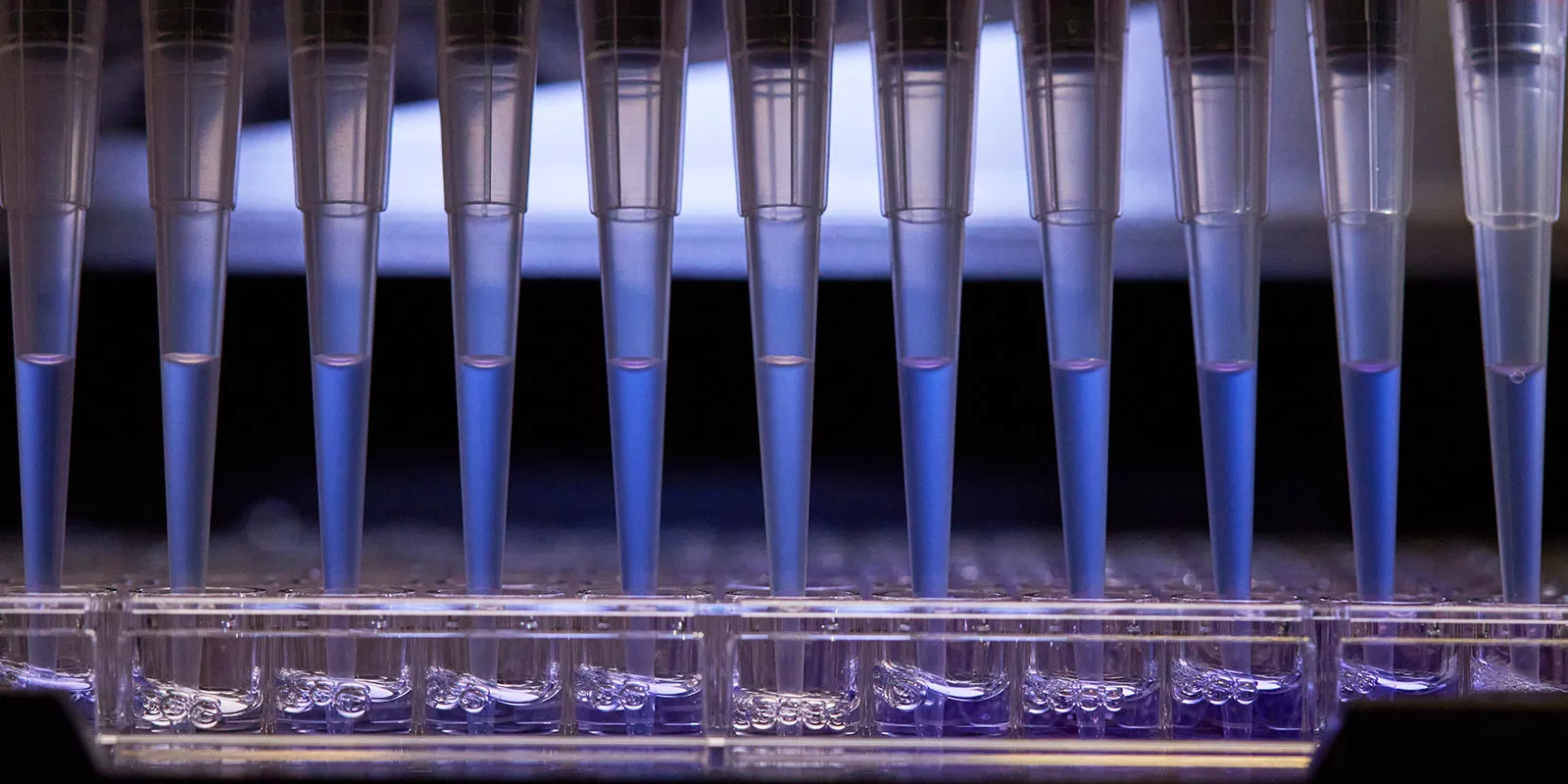 Automated pipettes filling test tubes