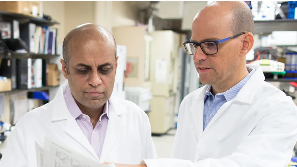 Two specialists analyzing a treatment plan.