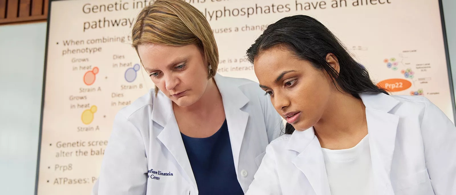 Medical teacher and student talking