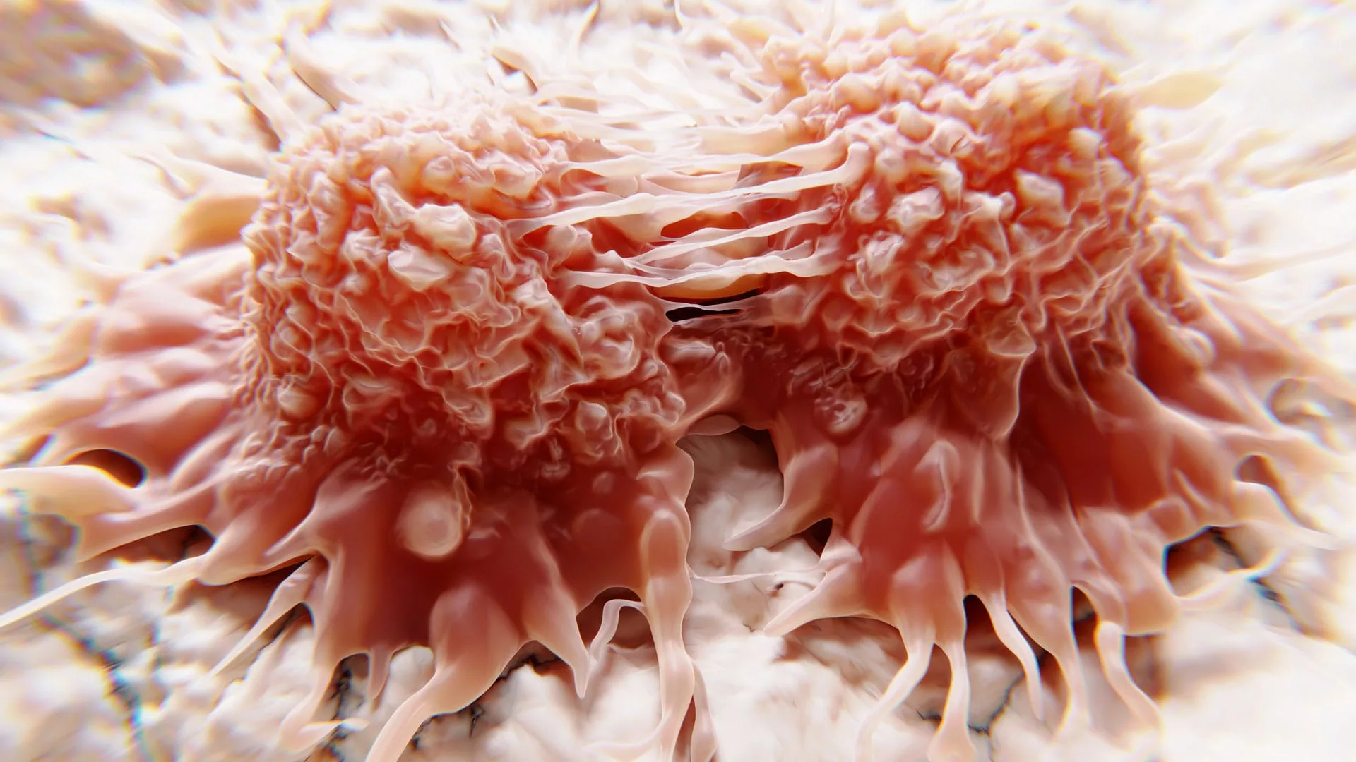 Cancer Dormancy Institute Awards Inaugural Pilot Research Awards