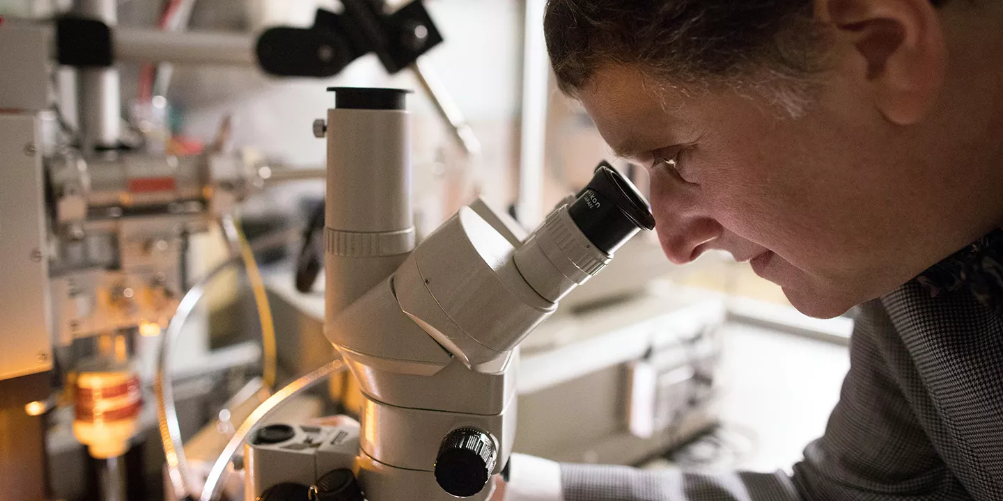 MECC Research Landing Shared Resources