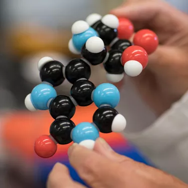 Shared resouces animal model