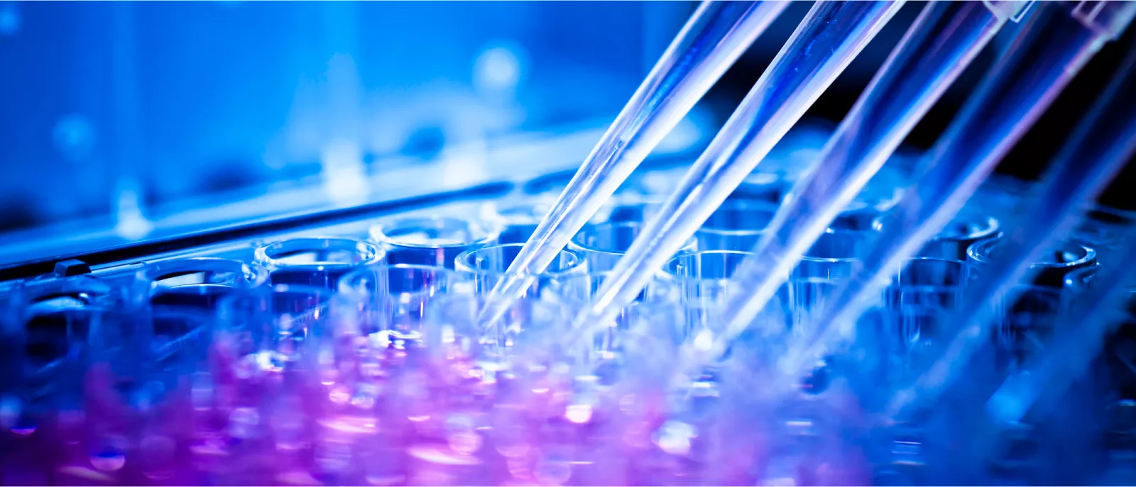 Montefiore Einstein Comprehensive Cancer Center Blood Cancer Institute