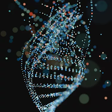 MECC Research Shared Resources Epidemiology