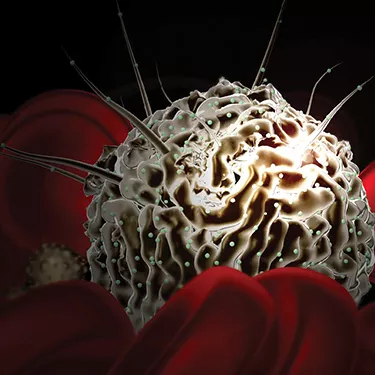 MECC Research Shared Resources Genomics