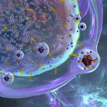 MECC Research Shared Resources Structural Biology